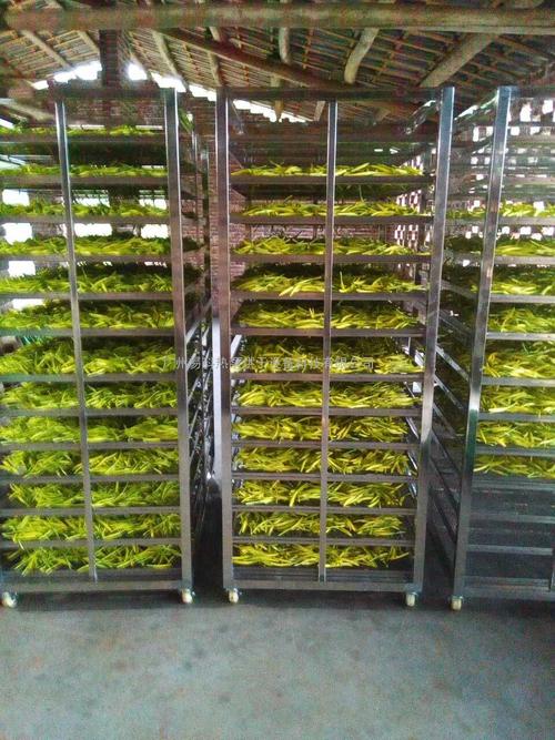 黃花菜烘干機、黃花菜烘干設備、黃花菜干燥機、黃花菜干燥設備、